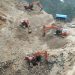 5 Unit Alat Berat Hitachi Garap Cagar Alam Titikbor: Daeng Body Diduga Kebal Hukum